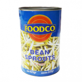 Soya Filizi 425gr